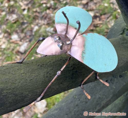 K�fer mit Patinakupferfl�gel