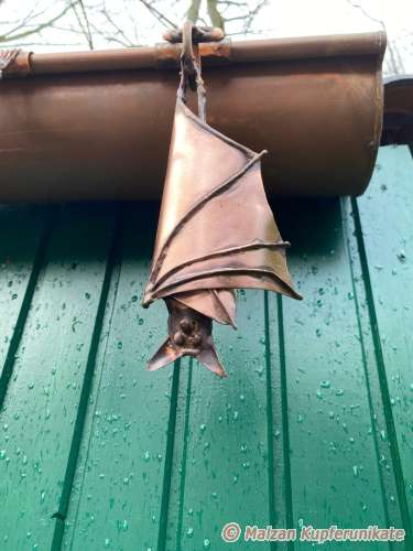 Fledermaus h�ngend