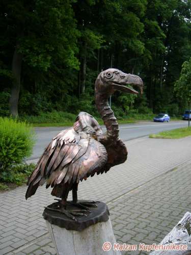 Kleiner G�nsegeier